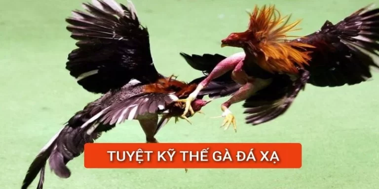 tuyet-ky-the-ga-da-xa